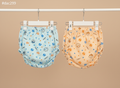 Infant Cotton Underwear (0–9 Months) – Soft & Skin-Friendly
